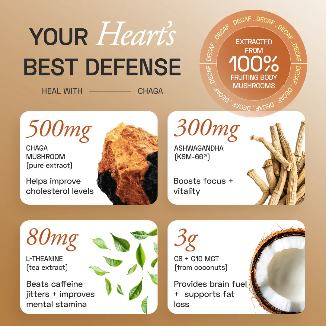 Chaga Shroom Coffee (Decaf) - Image 3
