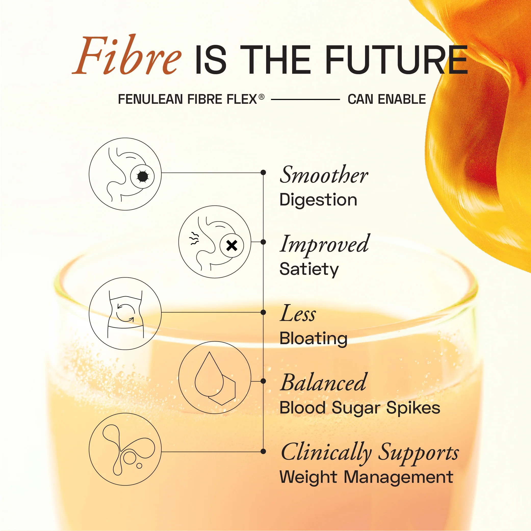 FenuLean® Fibre Flex - Image 8