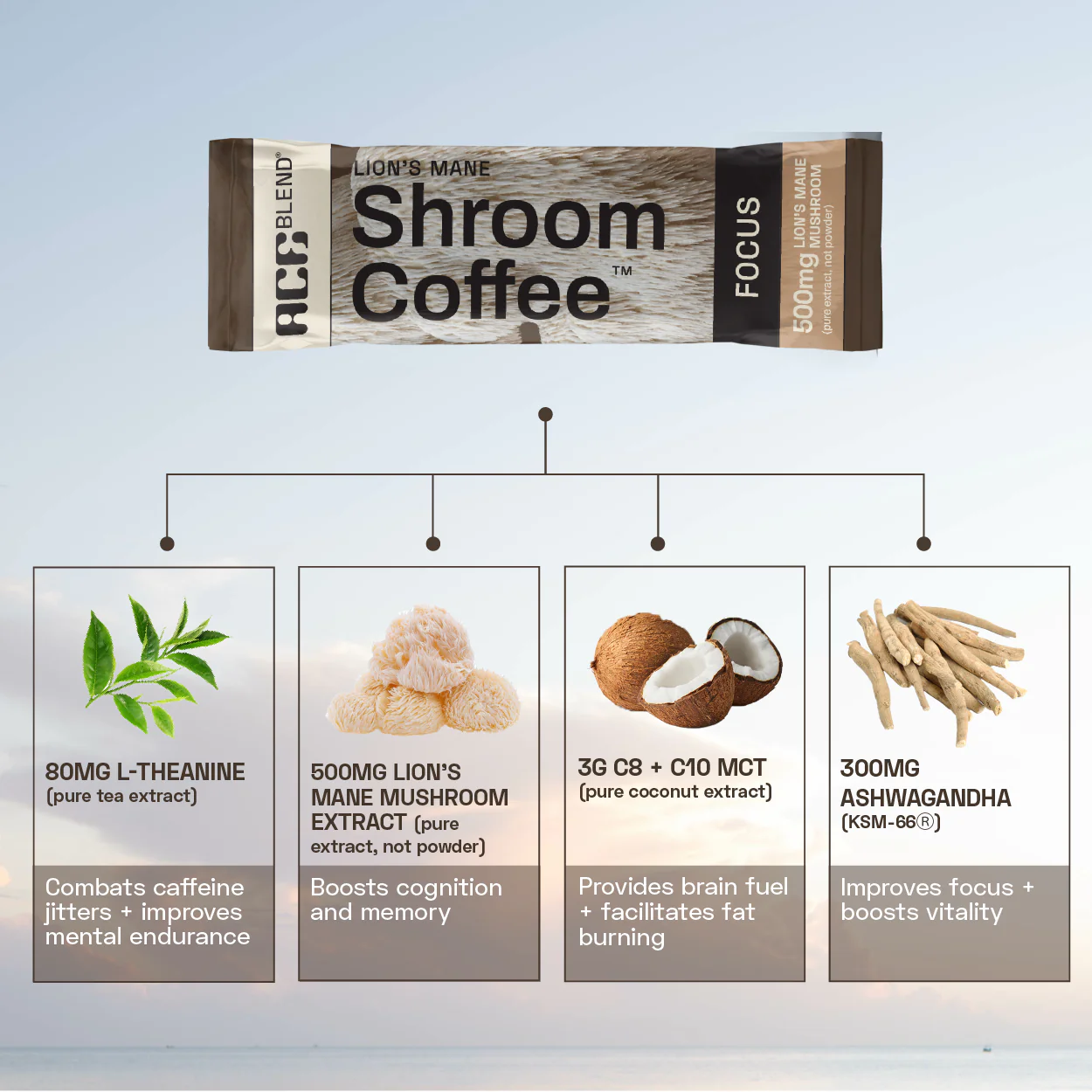 Functional Shroom Coffee Combo - Image 3
