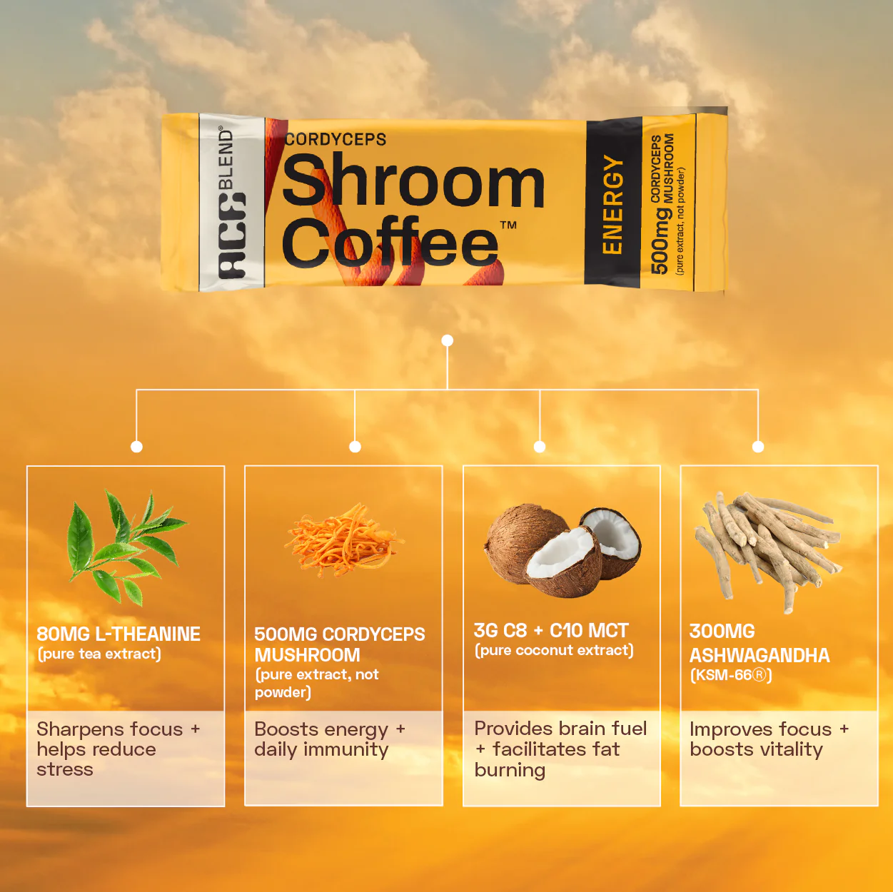 Functional Shroom Coffee Combo - Image 5