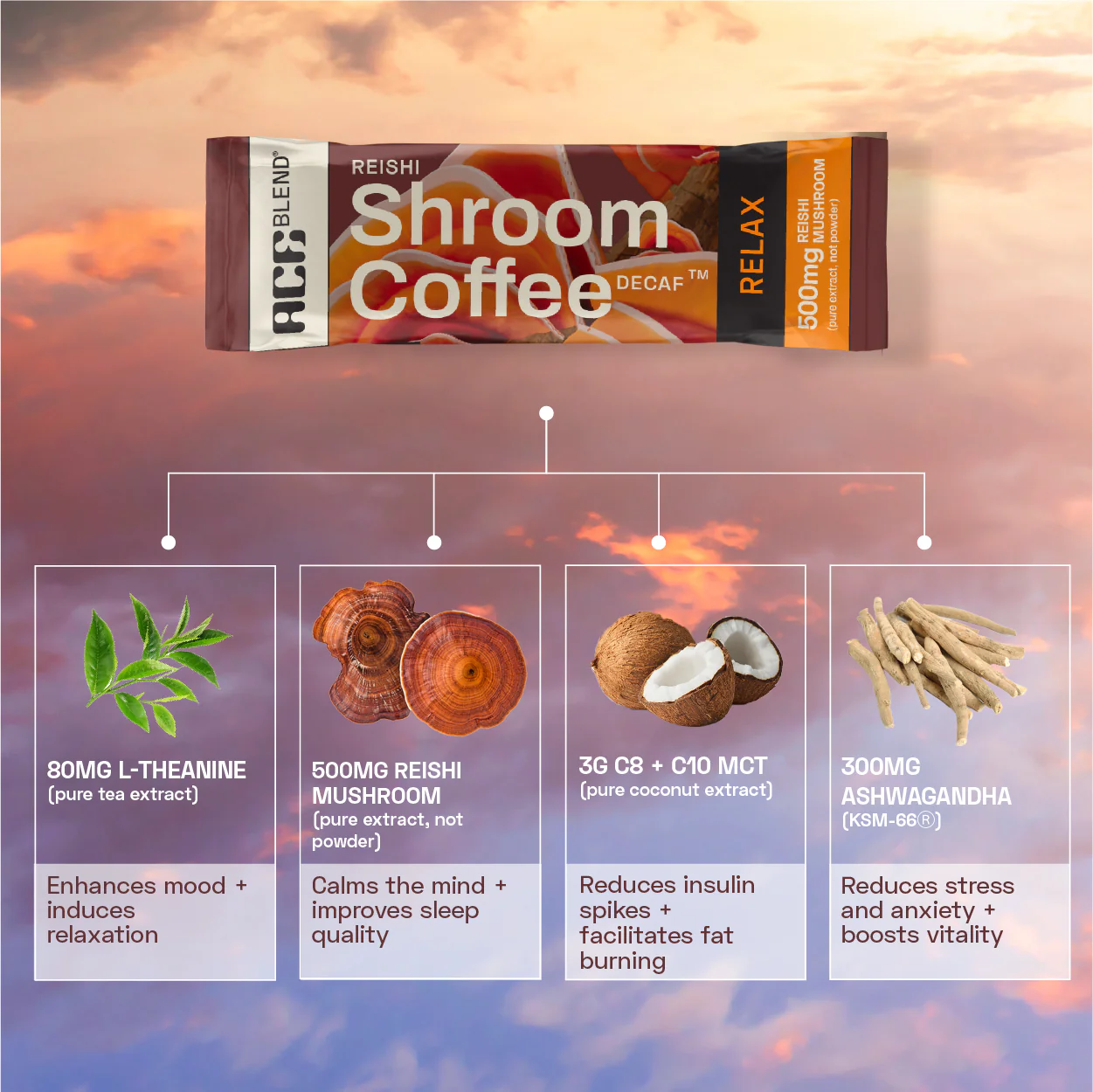 Functional Shroom Coffee Combo - Image 9