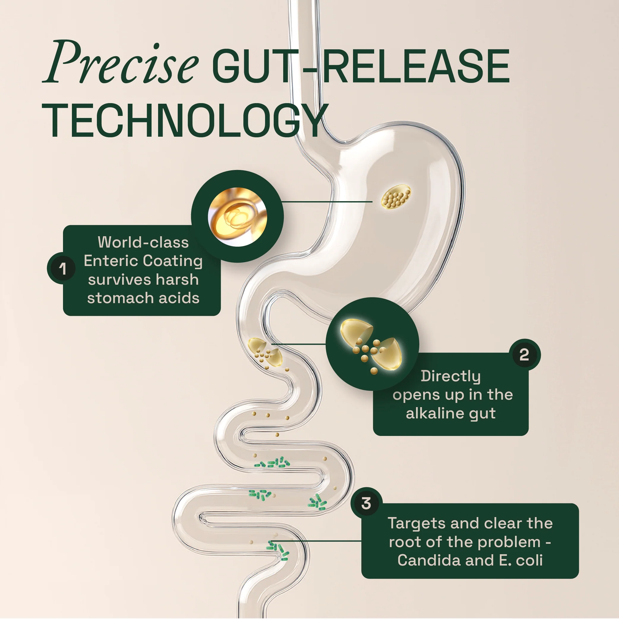 IBS Gastro Pro - Image 4