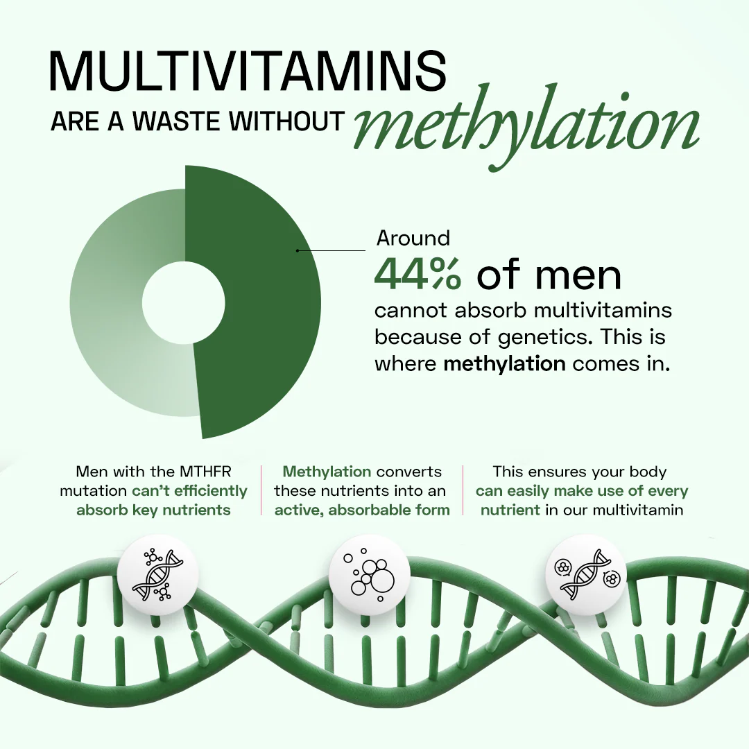 Men's Methylated Multivitamin - Image 4