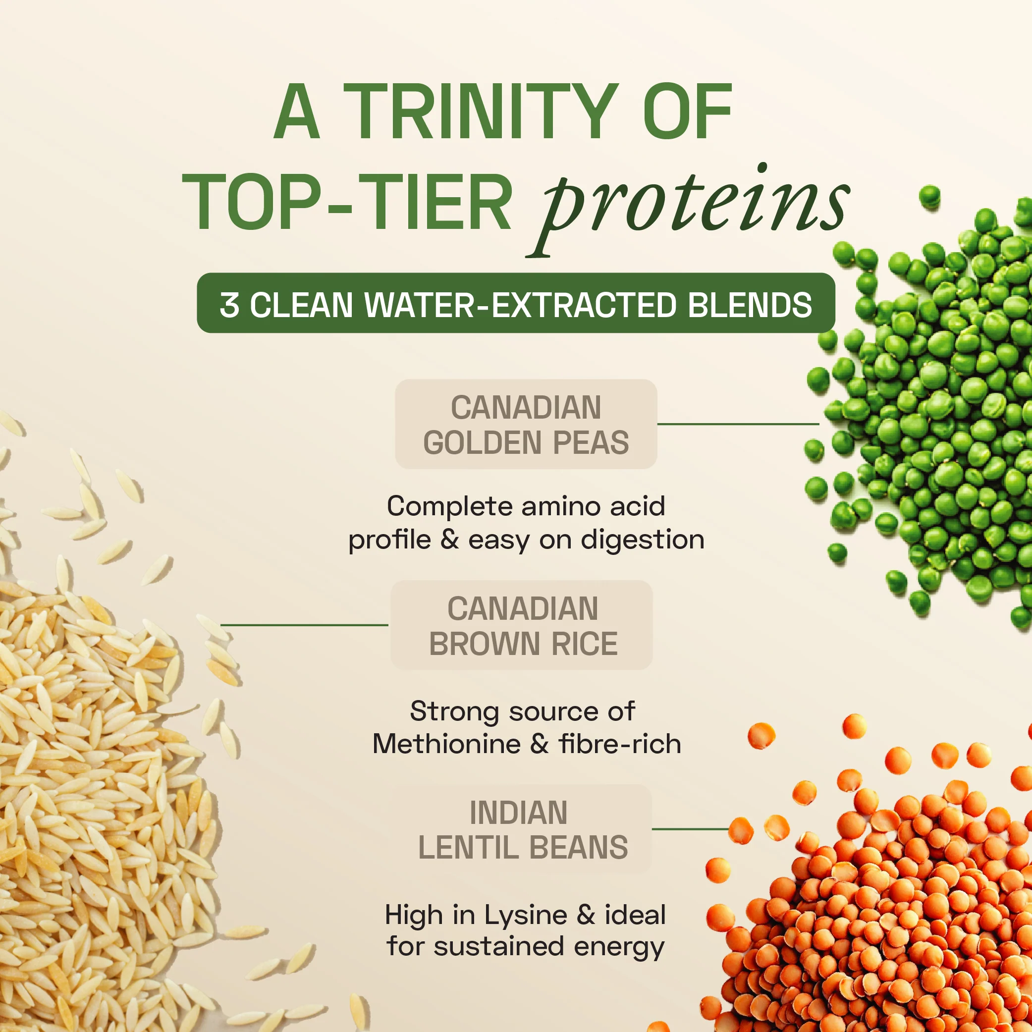 Plant Protein Complex - Image 4