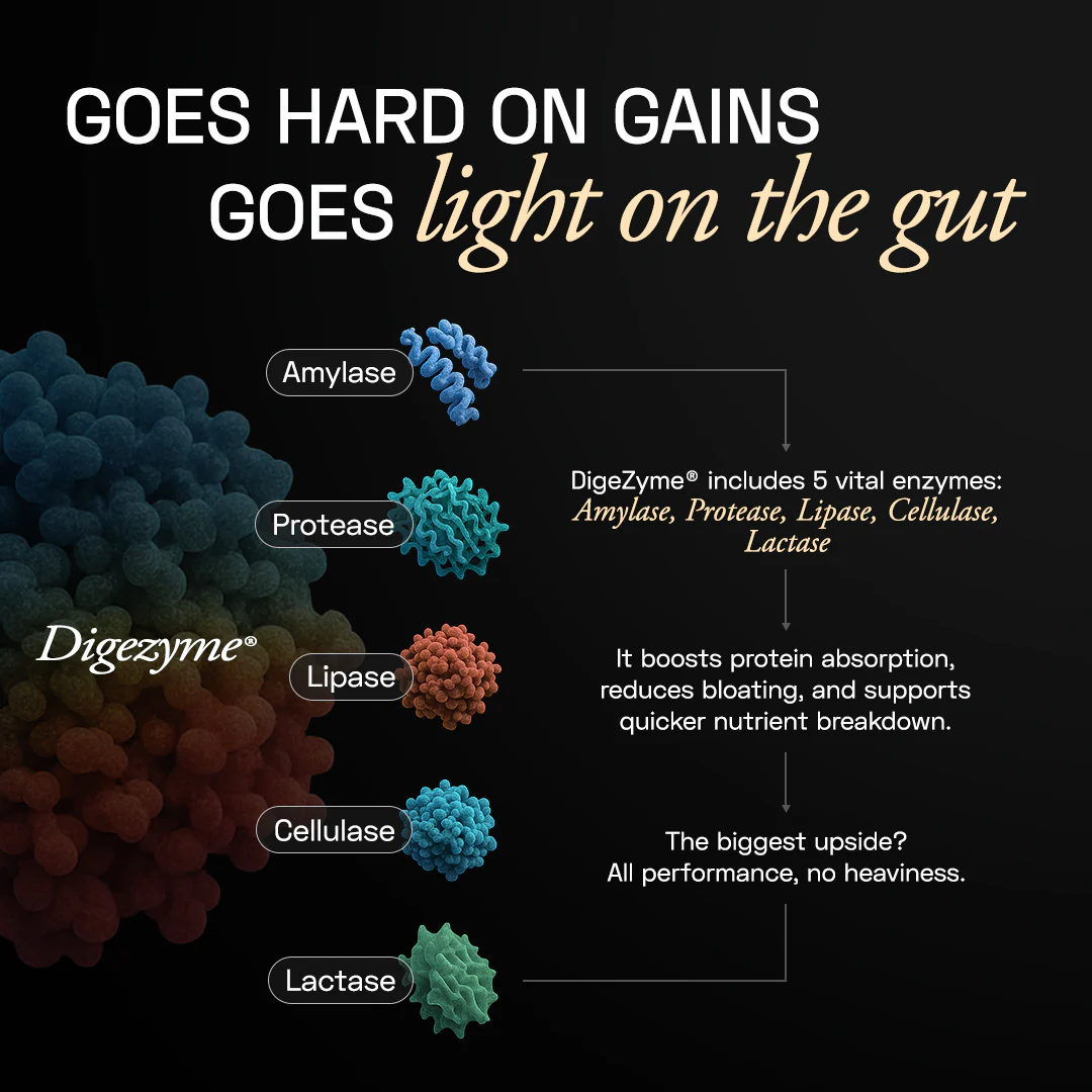 Premium Plant Protein | Intense - Image 44
