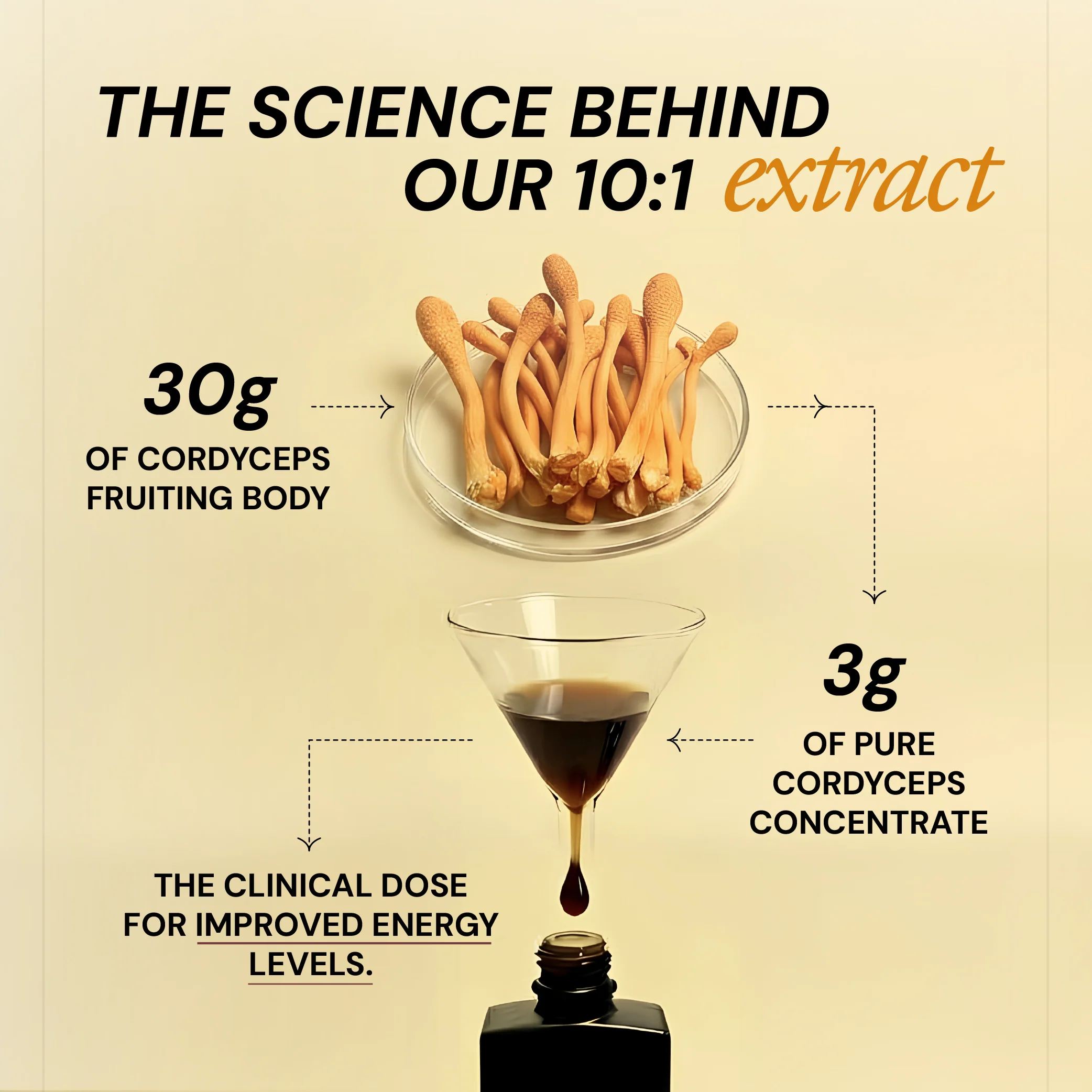 Pure Energy Shroom Concentrate - Image 4