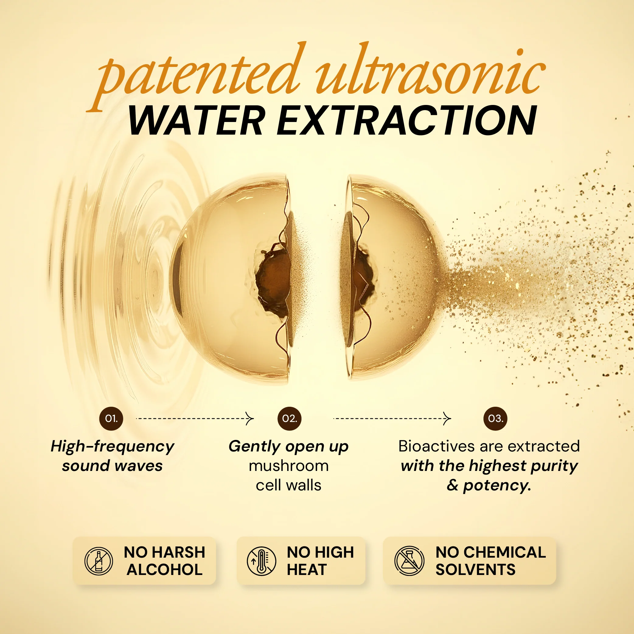 Pure Energy Shroom Concentrate - Image 5