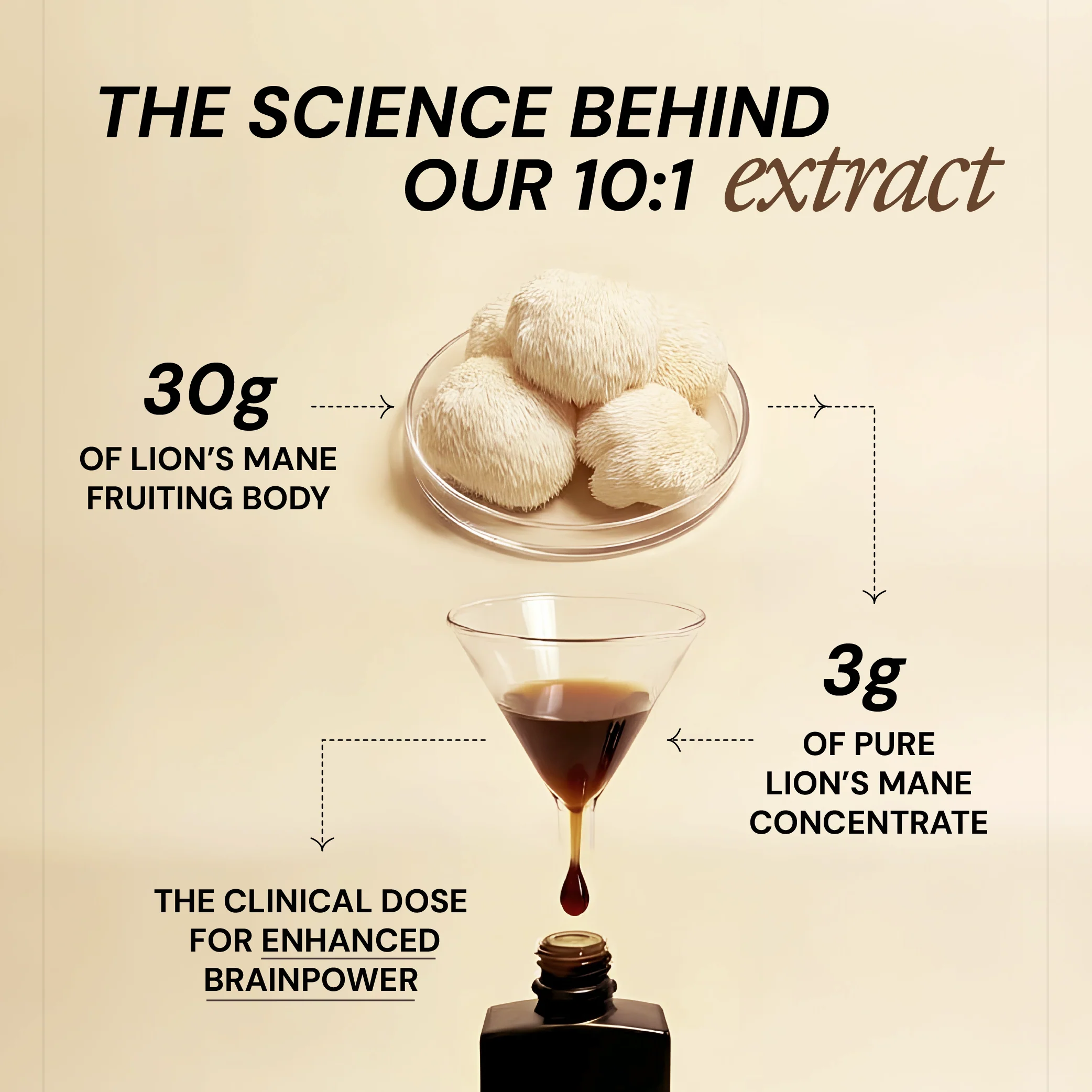 Pure Focus Shroom Concentrate - Image 4