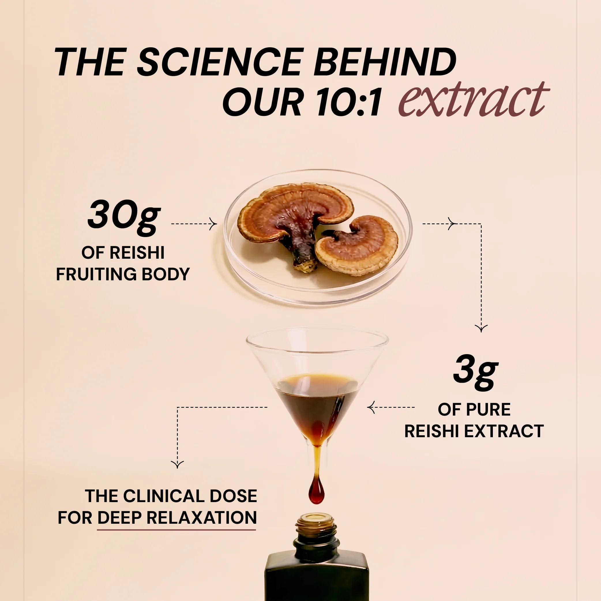 Pure Relax Shroom Concentrate - Image 4