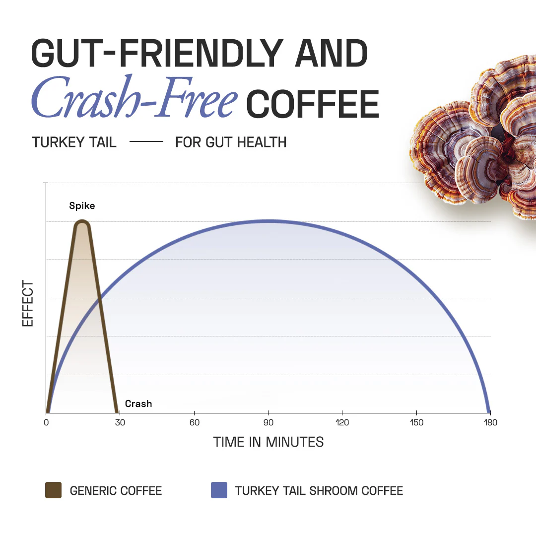 Turkey Tail Shroom Coffee - Image 5
